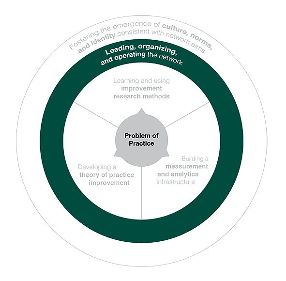 Organizing a Network for Collective Action | Carnegie Foundation for ...