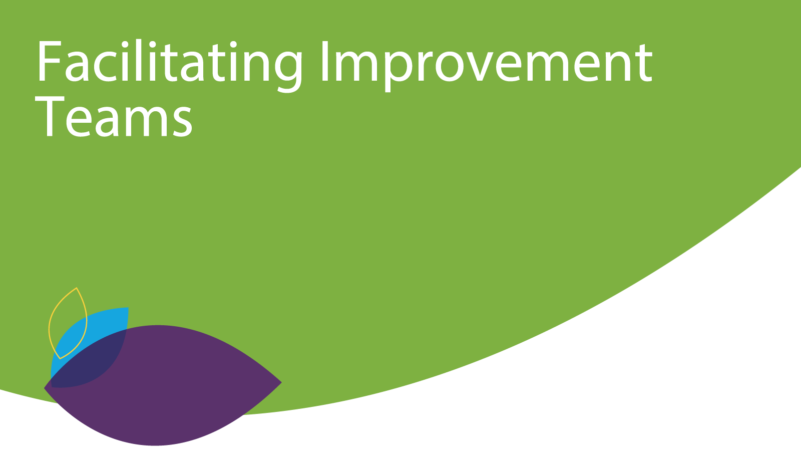 facilitating improvement teams