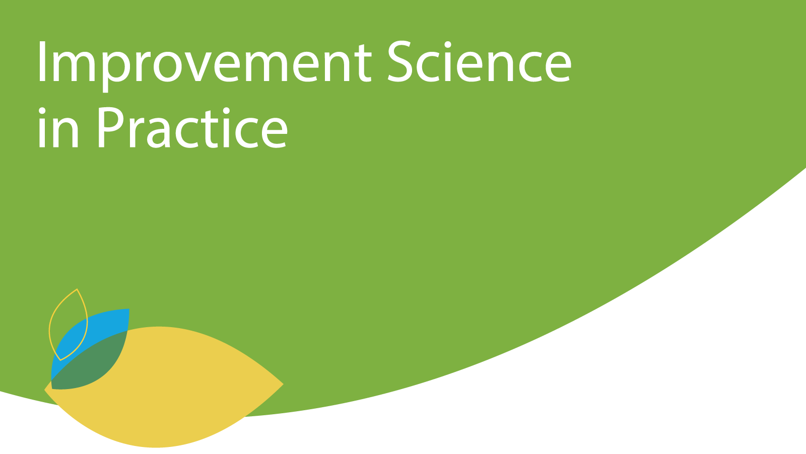 Improvement Science in Practice